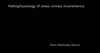 Pathophysiology of stress urinary incontinence