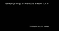 Pathophysiology of Overactive Bladder (OAB)